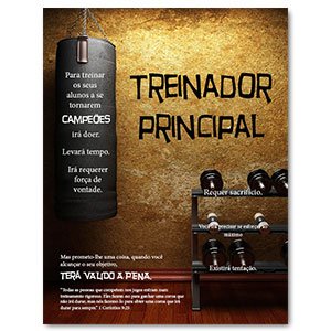 Treinador Principal 1 Campe&otilde;es
