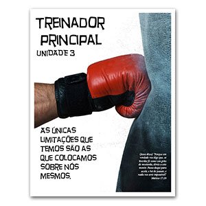 Treinador Principal 3 Campe&otilde;es