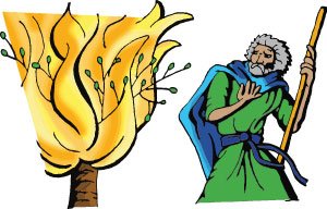 Moses Logo