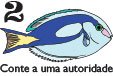 Cirurgião-patela