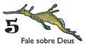 Dragões-marinho bebês