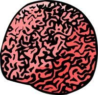 Coral 6